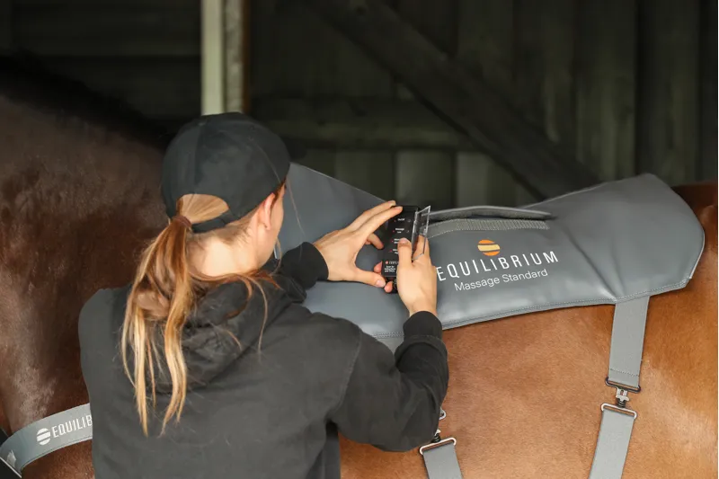 Equilibrium Products Massage Pad Grey-1